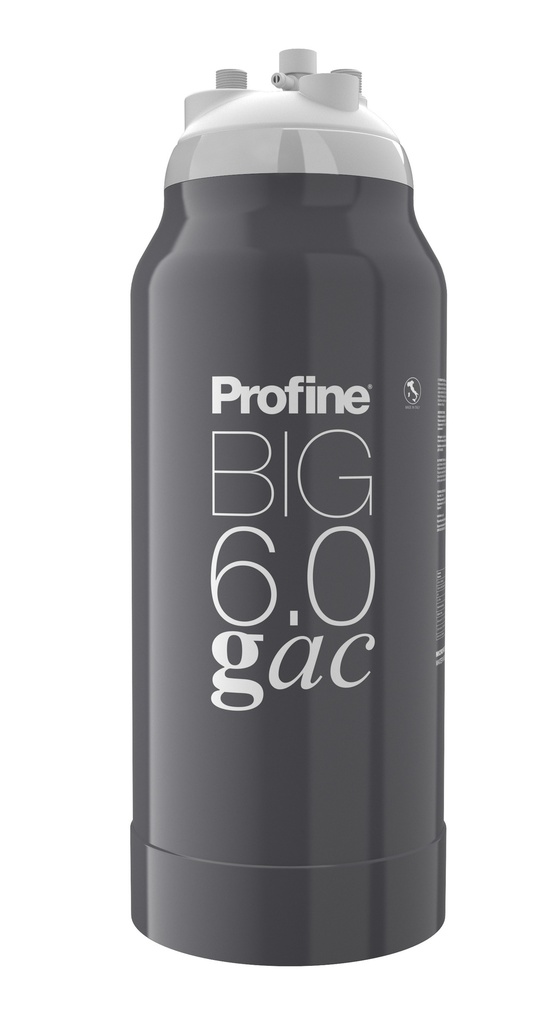 Filtru General Profine BIG 6.0 GAC pentru apa generală cu microfiltrare, elimină clorul, mirosul si gustul neplacut si actioneaza bacteriostatic 