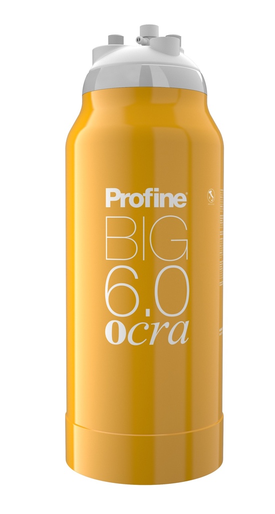 Filtru General Profine BIG 6.0 OCRA pentru apa generala cu efect de dedurizare