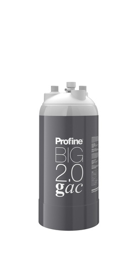 [PBBGP200 - B38] Filtru General Profine BIG 2.0 GAC pentru apa generală cu microfiltrare, elimină clorul, mirosul si gustul neplacut si actioneaza bacteriostatic 