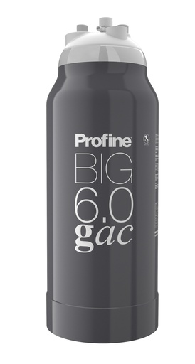 [PBBGP600 - B3A] Filtru General Profine BIG 6.0 GAC pentru apa generală cu microfiltrare, elimină clorul, mirosul si gustul neplacut si actioneaza bacteriostatic 