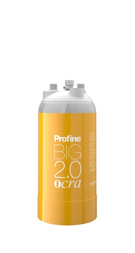 [PBBC0201 - B3D] Filtru General Profine BIG 2.0 OCRA pentru apa generala cu efect de dedurizare