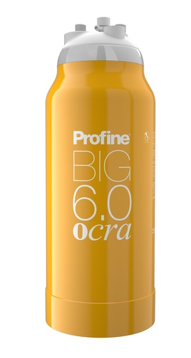 [PBBC0601 - BBA] Filtru General Profine BIG 6.0 OCRA pentru apa generala cu efect de dedurizare